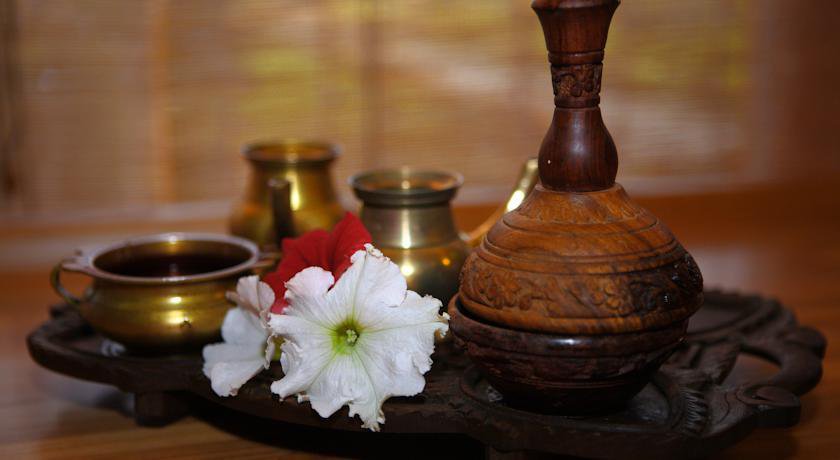 Гостиница Ayurvedic SPA Hotel  Кунгурка